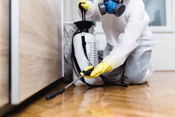 Best Cockroach Control Services  in Follansbee, WV