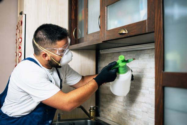 Best Emergency Pest Control  in Follansbee, WV