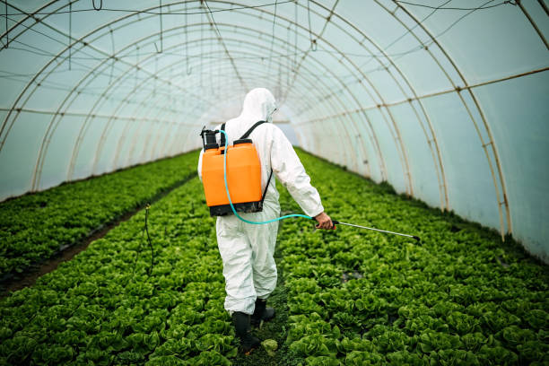 Best Pest Control for Homes  in Follansbee, WV