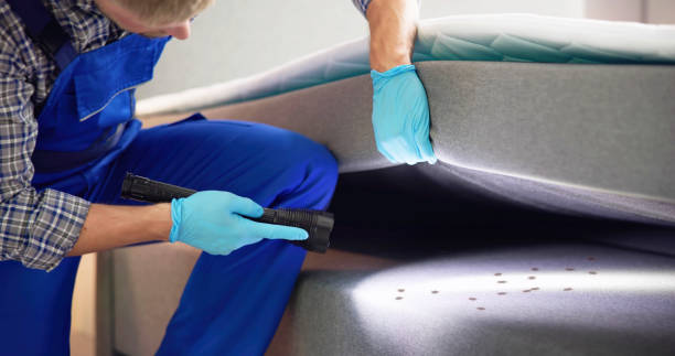 Best Residential Pest Control  in Follansbee, WV